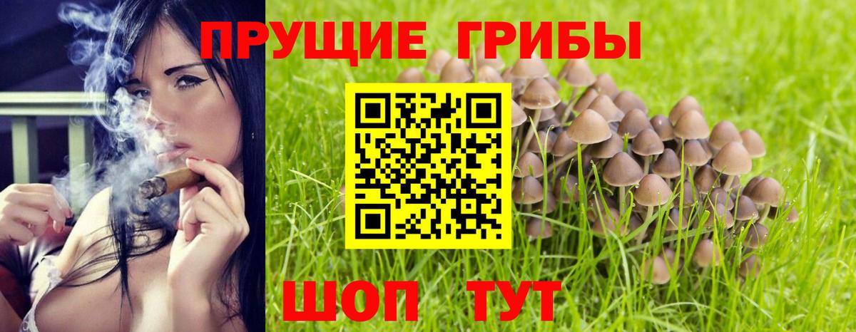 Алушта  Галлюциногенные грибы Psilocybine cubensis  Галлюциногенные грибы Psilocybe  Вход с VPN 